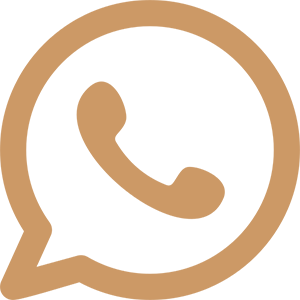 WhatsApp Icon